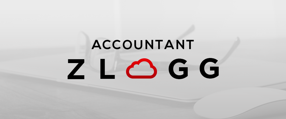 Zlogg for Accountants
