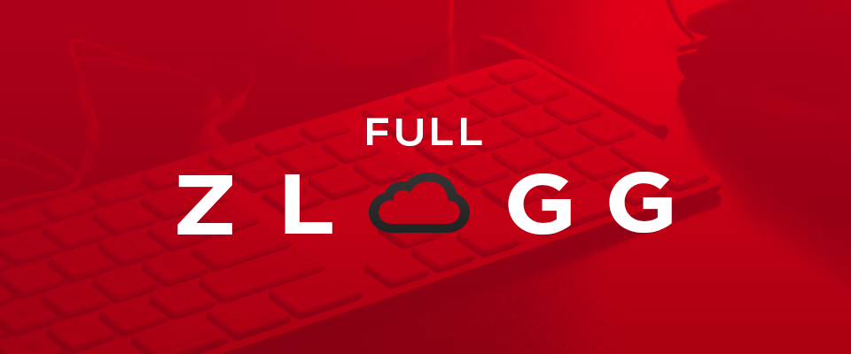 Full Version of Zlogg Accounting